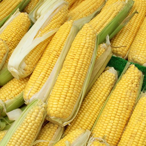 Corns